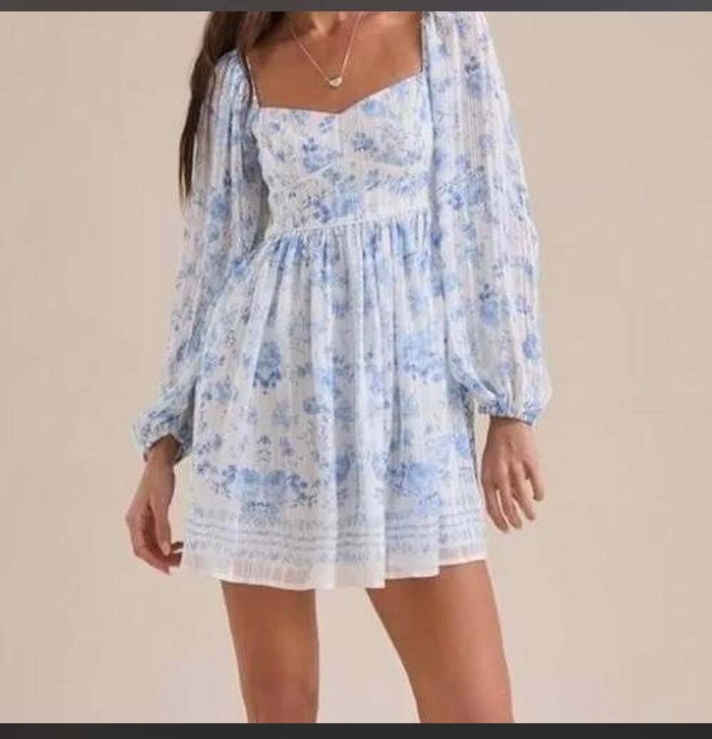 Altar'd State Alyssa Blue Floral Metallic Stripe Long Sleeve Mini Dress (Size M)